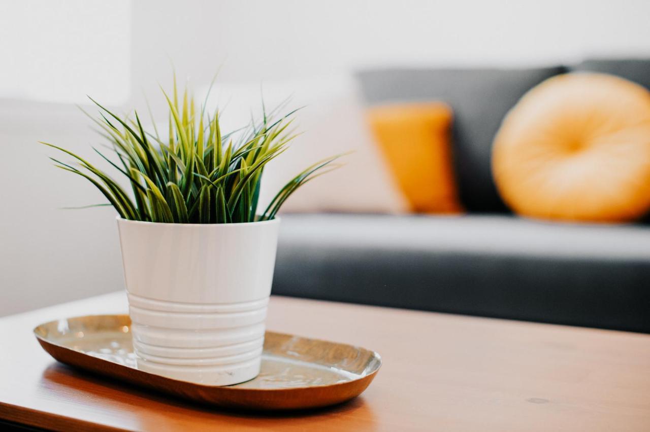 Appartement Cosy Avec Place De Parking Prive Tuluza Zewnętrze zdjęcie